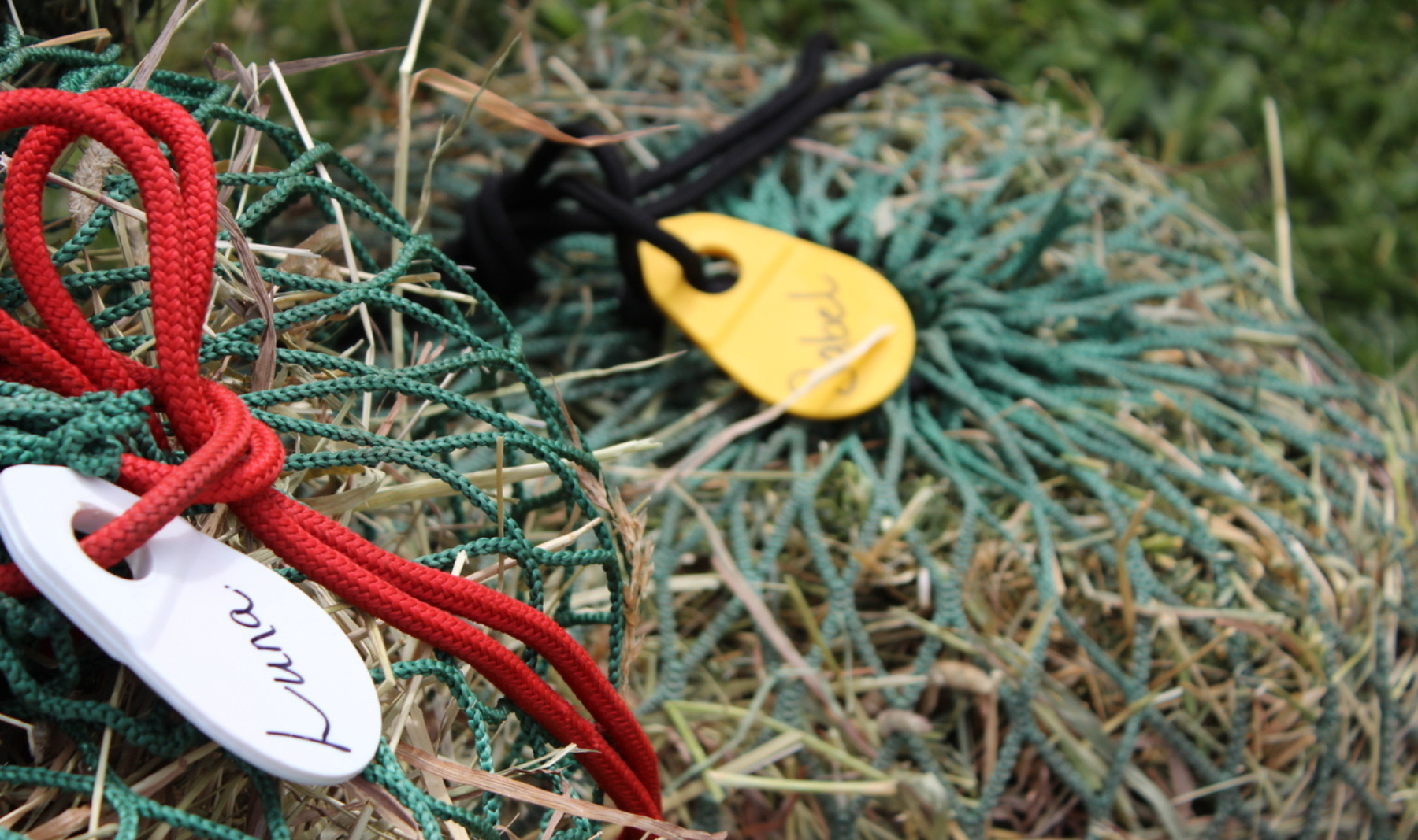 two green hay nets with name tags on the ropes