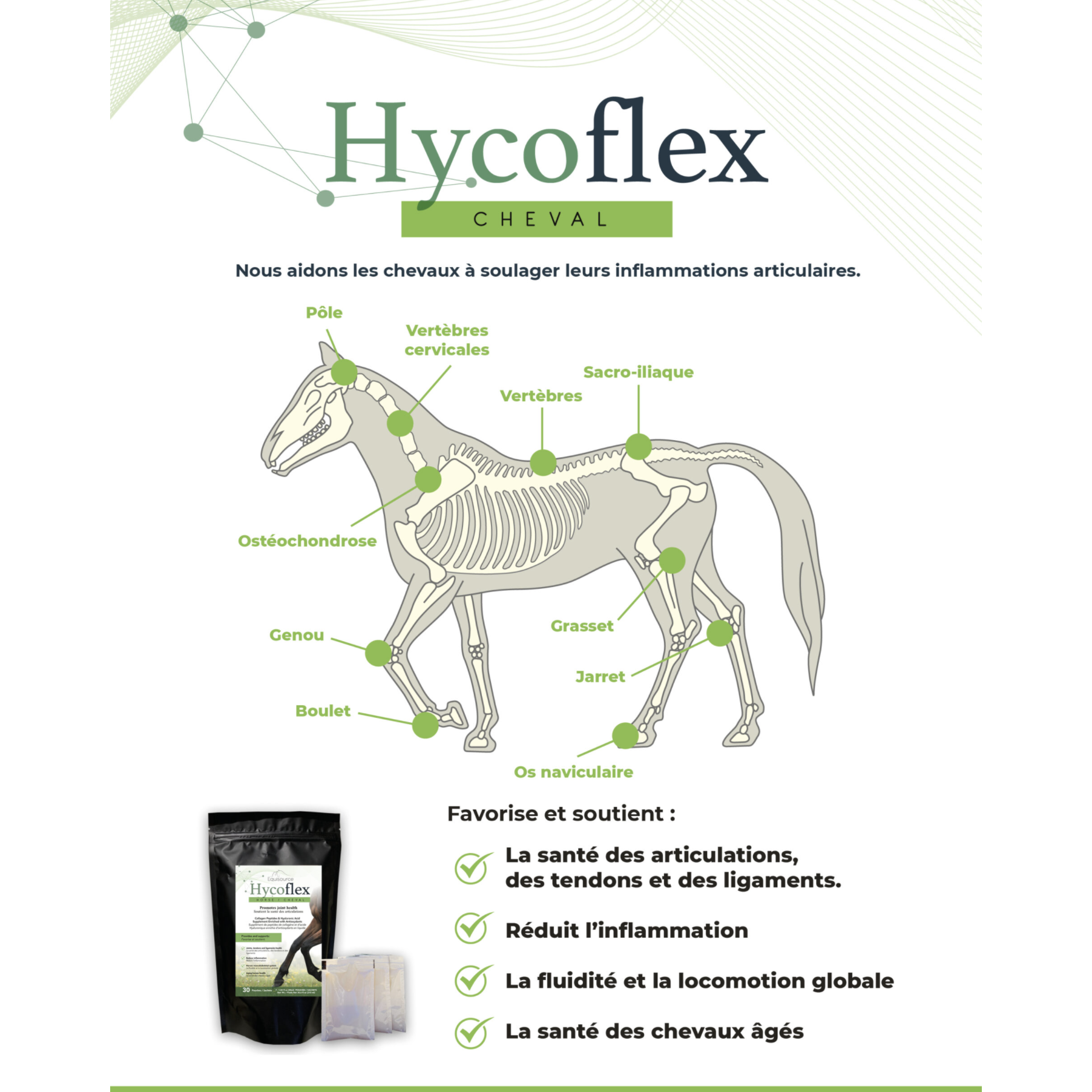 HycoFlex Supplement